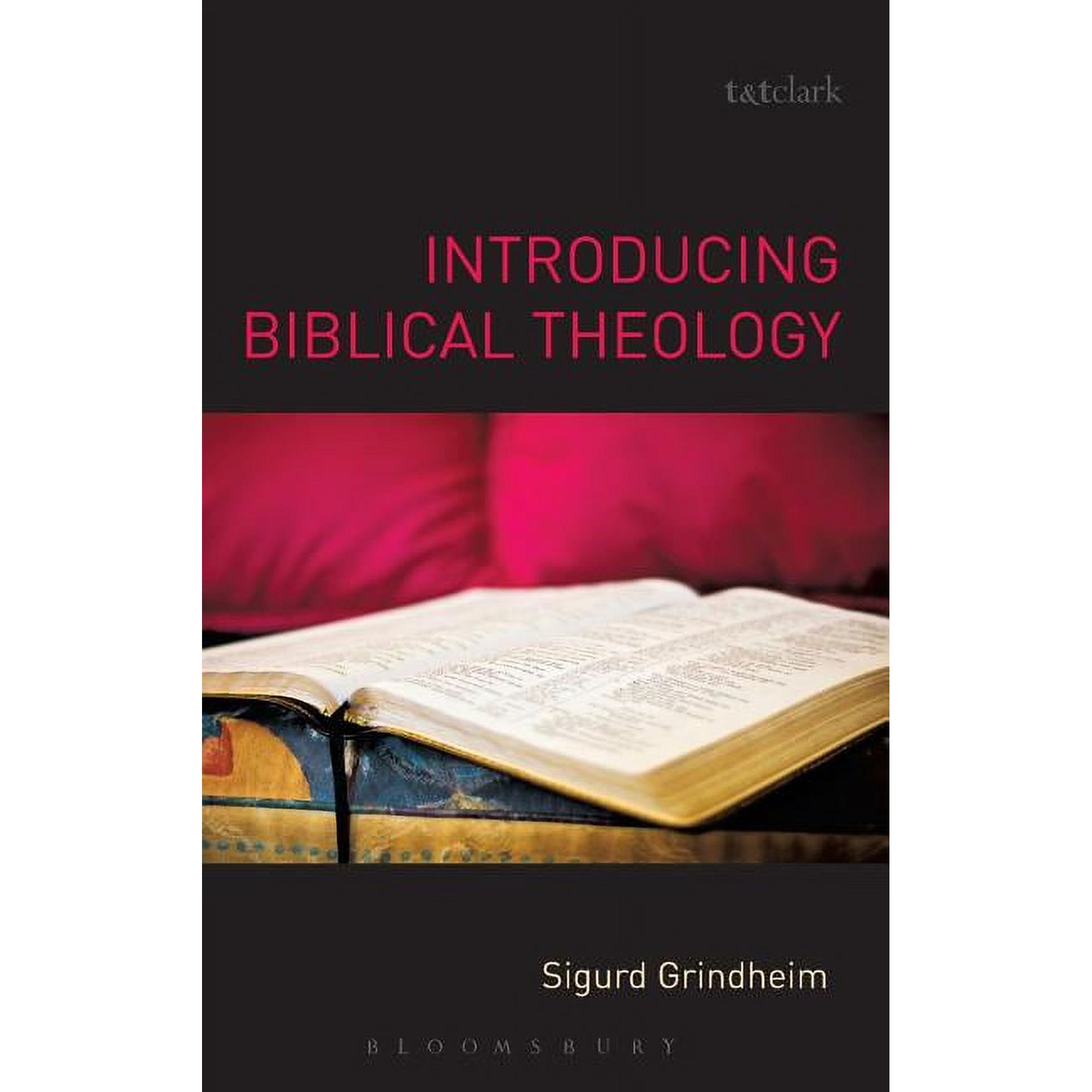 Introducing Biblical Theology (Hardcover)