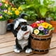thumbnail image 5 of CaiYueKe Schnauzer Dog Resin Planter, Cute Whimsical Dog Figurine with Barrel Pot, Succulent Flower Pot, Home Decor Planter, Gift for Dog Lovers, Indoor Outdoor Decorative Planter, 5 of 5