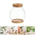 thumbnail image 6 of LABRIMP plant propagation jars Hydroponic Flower Vase Cylindrical Glass 1 Set, 6 of 8