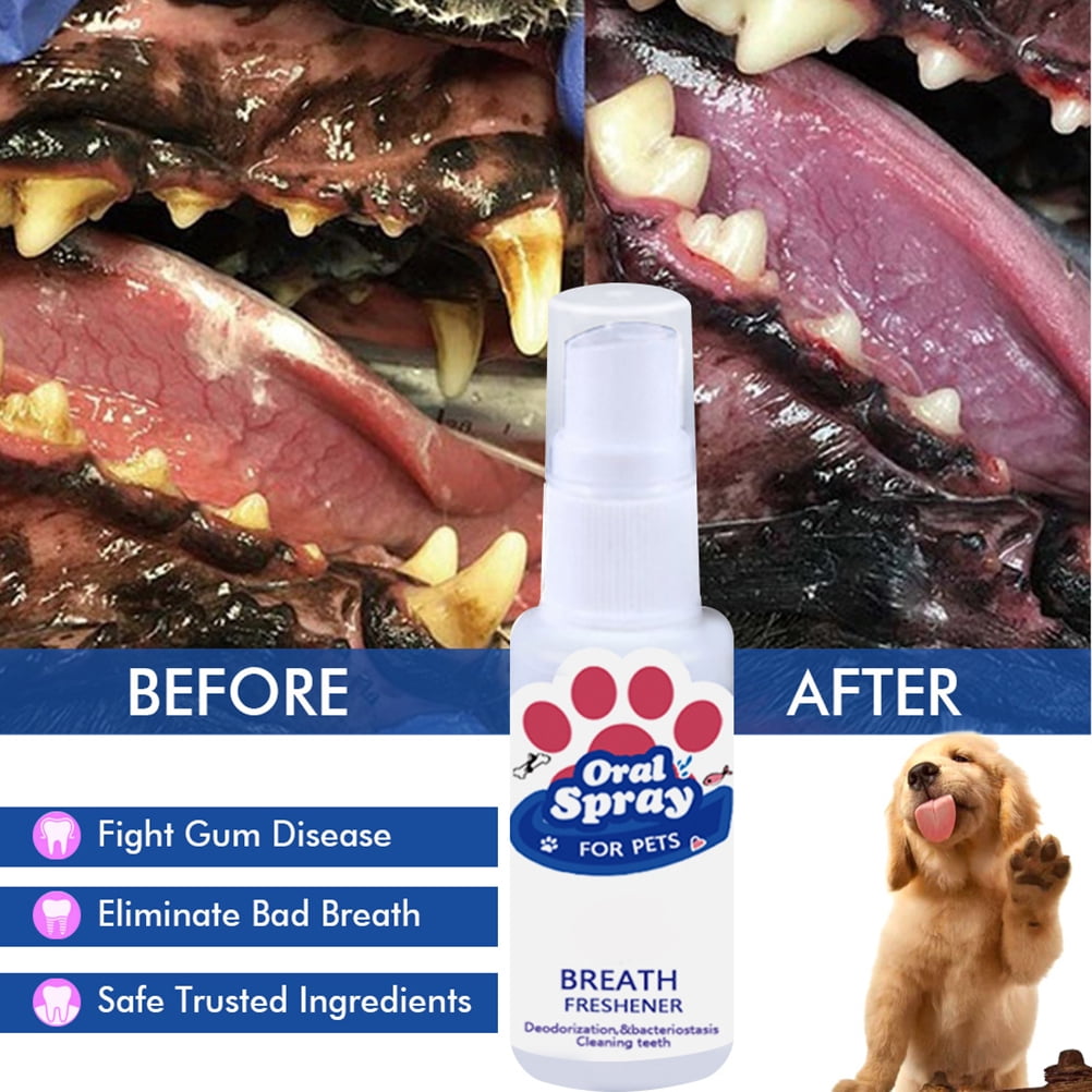 Mouthwash for dogs walmart hot sale