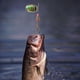 thumbnail image 1 of Pesca LUSHAZER Spinner de mano Señuelos de pesca Cuchara de lentejuelas Wobbers Crankbaits (3), 1 of 6