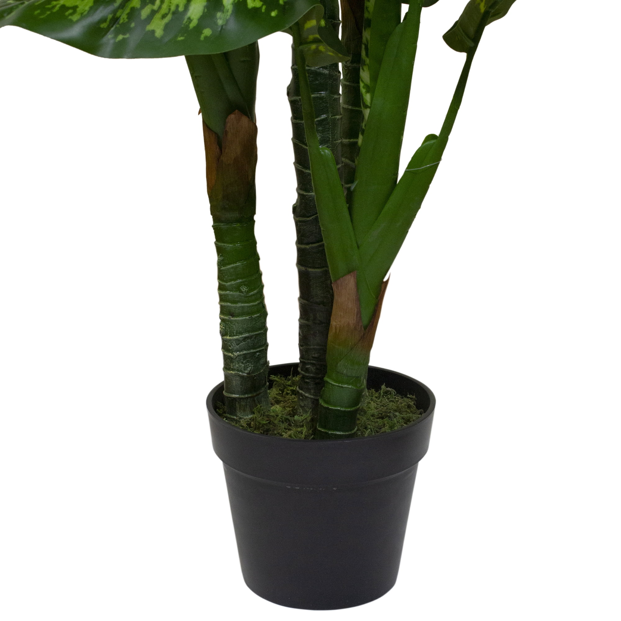 58" Artificial Wide Leaf Green Dieffenbachia Potted Plant
