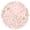 Light Pink, variant on 40Pcs Cotton Fabric Squares for Quilting 9.84 x 9.84 inches Precut Quilt Squares Charm Pack Assorted Floral Patterns for Sewing DIY Quilting Patchwork Crafts