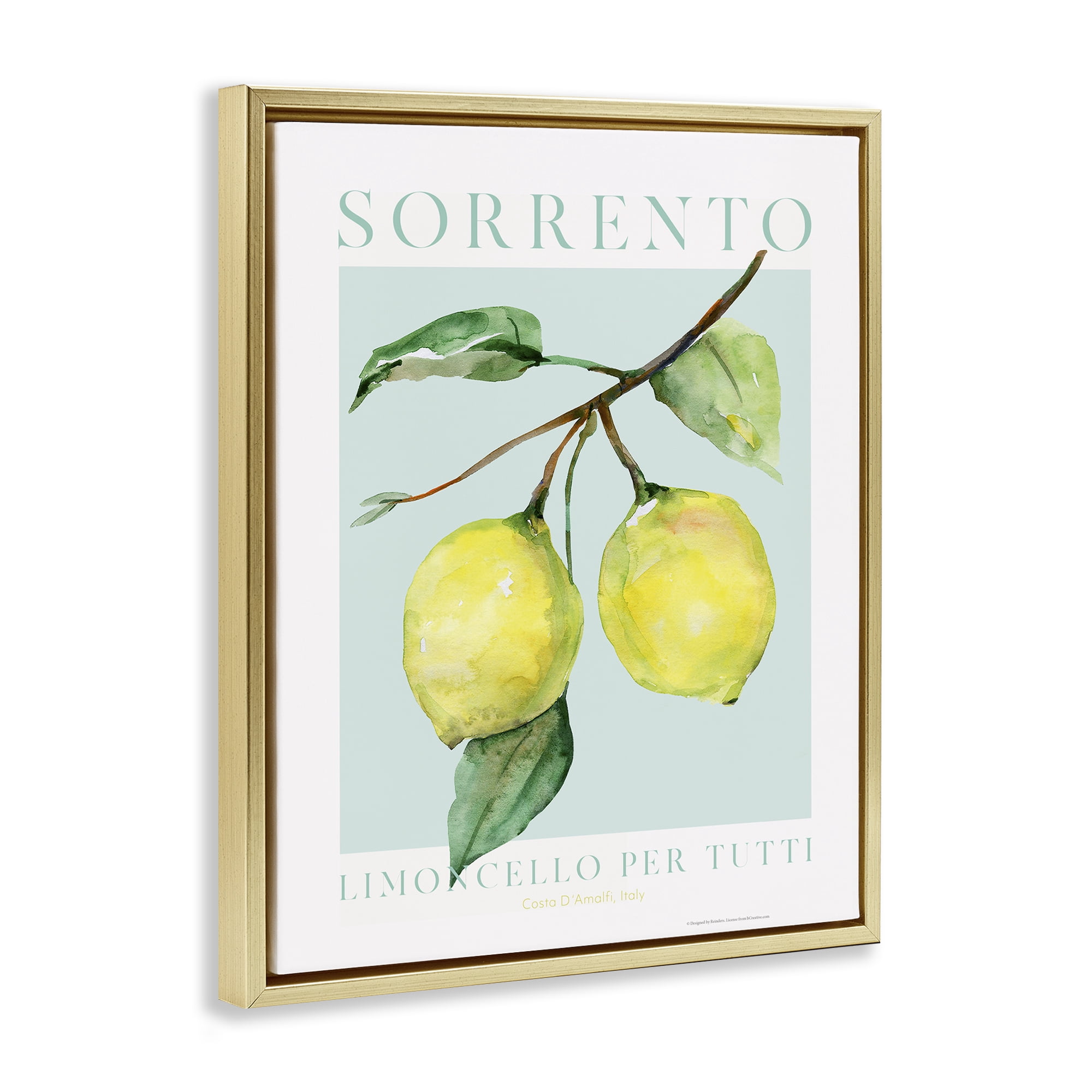 Stupell Industries Sorrento Lemon Branch Food & Beverage Painting Gold Floater Framed Canvas Art Print Wall Art, 17 x 21