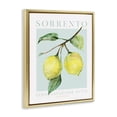 thumbnail image 4 of Stupell Industries Sorrento Lemon Branch Food & Beverage Painting Gold Floater Framed Canvas Art Print Wall Art, 17 x 21, 4 of 10