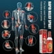 thumbnail image 4 of Spray extrafuerte de acción rápida para aliviar el dolor de espalda y el dolor muscular causado por la artritis, 4 of 5