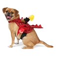 thumbnail image 6 of Vibrant Life Halloween Dragon Rider Costume for Dogs and Cats, Multicolor, S, 6 of 8