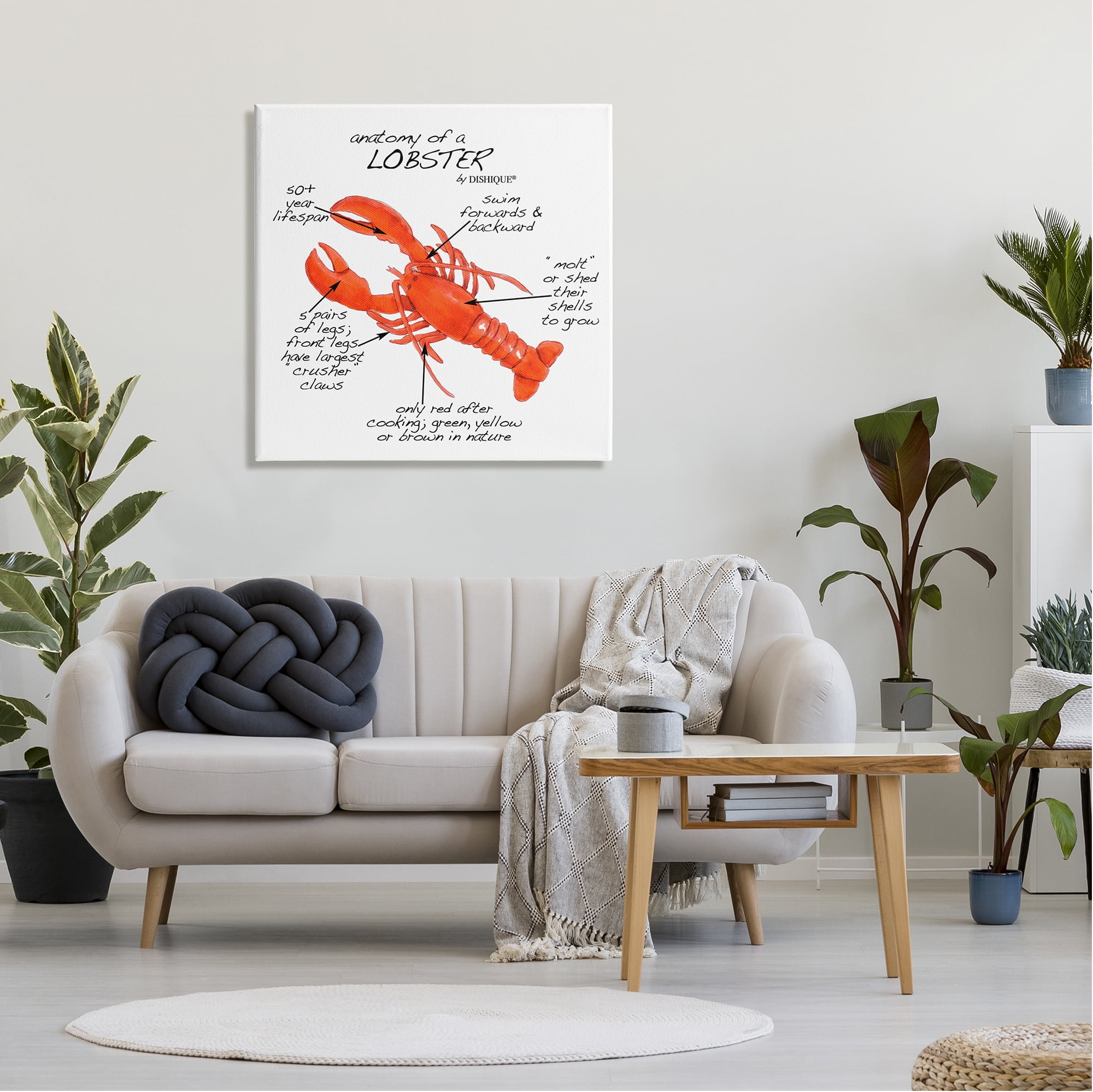 Stupell Industries Lobster Anatomy Nautical Sea Life Learning Chart Graphic Art Gallery Wrapped Canvas Print Wall Art, Design by Dishique