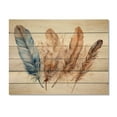thumbnail image 3 of Designart "Quills with Grace I" Feathers Print on Natural Pine Wood, 3 of 5