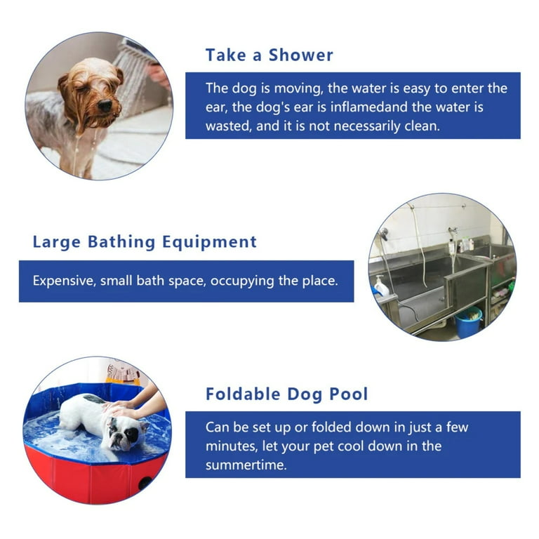 Rigid 2024 dog pool