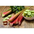 thumbnail image 3 of 25 Seeds GLASKINS PERPETUAL RHUBARB (Pieplant) Rheum Rhabarbarum Fruit Vegetable Seeds, 3 of 9