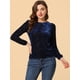 thumbnail image 3 of Blusa de manga abullonada larga de terciopelo con estampado de puntos para mujer Azul-Floral M, 3 of 5
