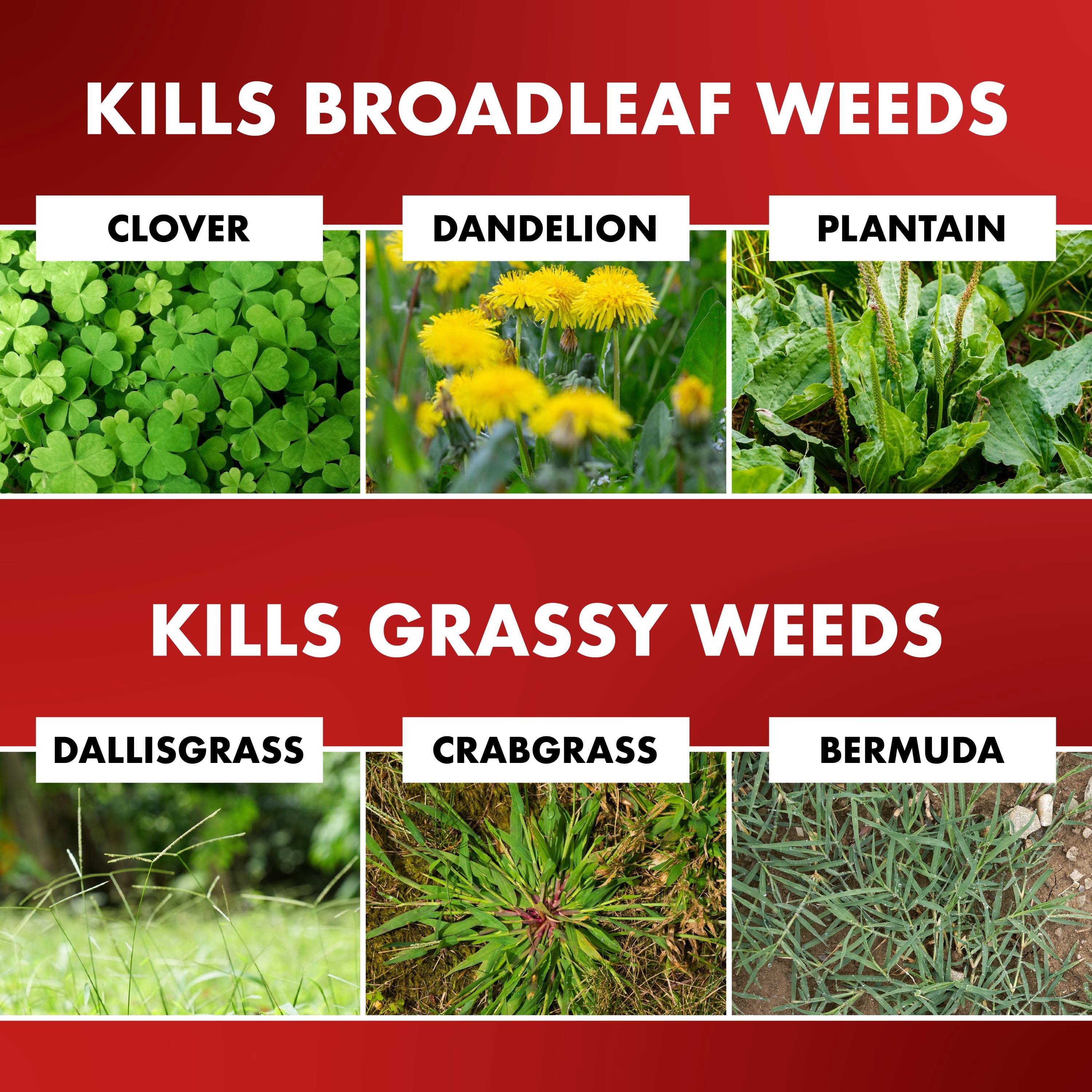 Spectracide One Shot Weed & Grass Killer Ready-to-Use Spray, 1 Gallon