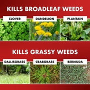 Spectracide One Shot Weed & Grass Killer Ready-to-Use Spray, 1 Gallon
