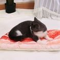 thumbnail image 3 of PENGXIANG Pet Bed For Dogs Pets Cat Mat For Dogs Blanket Kennel Teddy Four Seasons Durable Soft Toast Bread And Poached Eggs Pizza Mat Bacon Mat M, 3 of 6