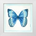 thumbnail image 1 of Shamp, Cindy 20x20 White Modern Wood Framed Museum Art Print Titled - Butterfly II, 1 of 4