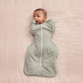 thumbnail image 3 of Love to Dream Swaddle Up Warm Cotton 2.5 TOG Baby Sleep Sack, Arms Up Design, Twin Zipper, Medium 13-19 lbs, Olive Bees, 3 of 7