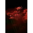 thumbnail image 2 of Suzuki, Takashi 11x14 Black Ornate Wood Framed with Double Matting Museum Art Print Titled - Sparkling Red Flower, 2 of 4