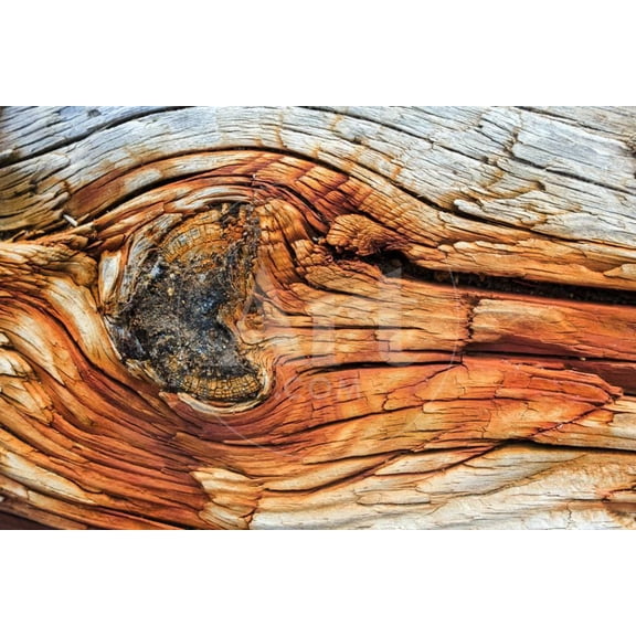 Rust and Wood, Unframed Photographic Print Wall Art by blackboard1965 Sold by Art.Com