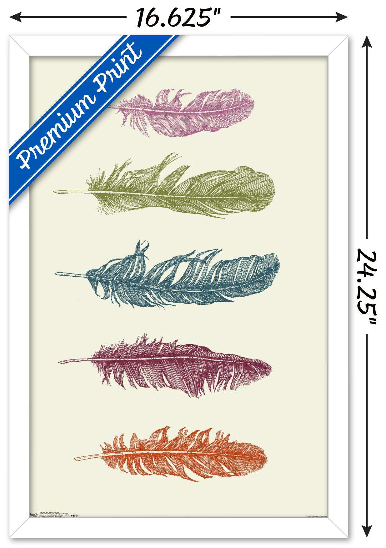 Rachel Caldwell - Feathers Wall Poster, 14.725" x 22.375", Framed