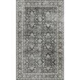 thumbnail image 2 of BERTHMEER 3'x5' Small Area Rugs for Entryway Office indoor Washable Rugs Traditional Oriental Rugs Non-slip, Black, 2 of 4