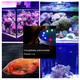 thumbnail image 4 of Lámpara Para Peceras  Bloosom Acuario 12 Burbuja Luces Sumergible Negro, 4 of 4