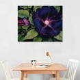 thumbnail image 2 of COMIO Black and Purple Petunias Canvas Wall Art, 2 of 4