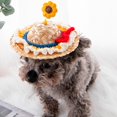 thumbnail image 2 of Sombrero De Paja Para Mascotas, Sombreros De Ojo Grande De Girasol Para Cachorros Y Kitt, Gorra Retro De Granjero, Gorra De Sol Para Gatos Y Perros, Sombrero Para Mascotas seitruly AP007659-02, 2 of 6