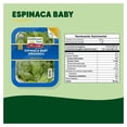 thumbnail image 2 of Espinaca baby Earthbound Farm orgánica 142 g, 2 of 4