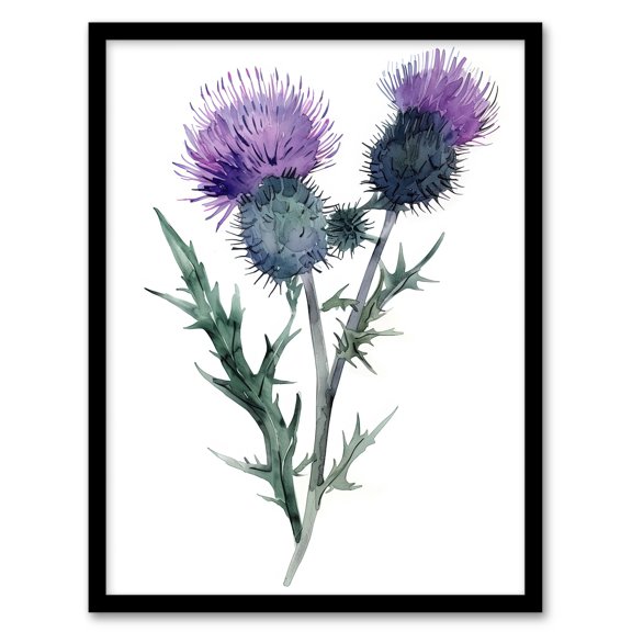 Artery8 Two Scottish Thistle Flower Blooms Watercolour Living Room Art Print Framed Poster Wall Decor 12x16 inch