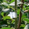 thumbnail image 2 of Jadeshay Plant Support Clips 100Pcs Grafting Clips for Vegetable Fruit Trees Garden Tools, 2 of 7