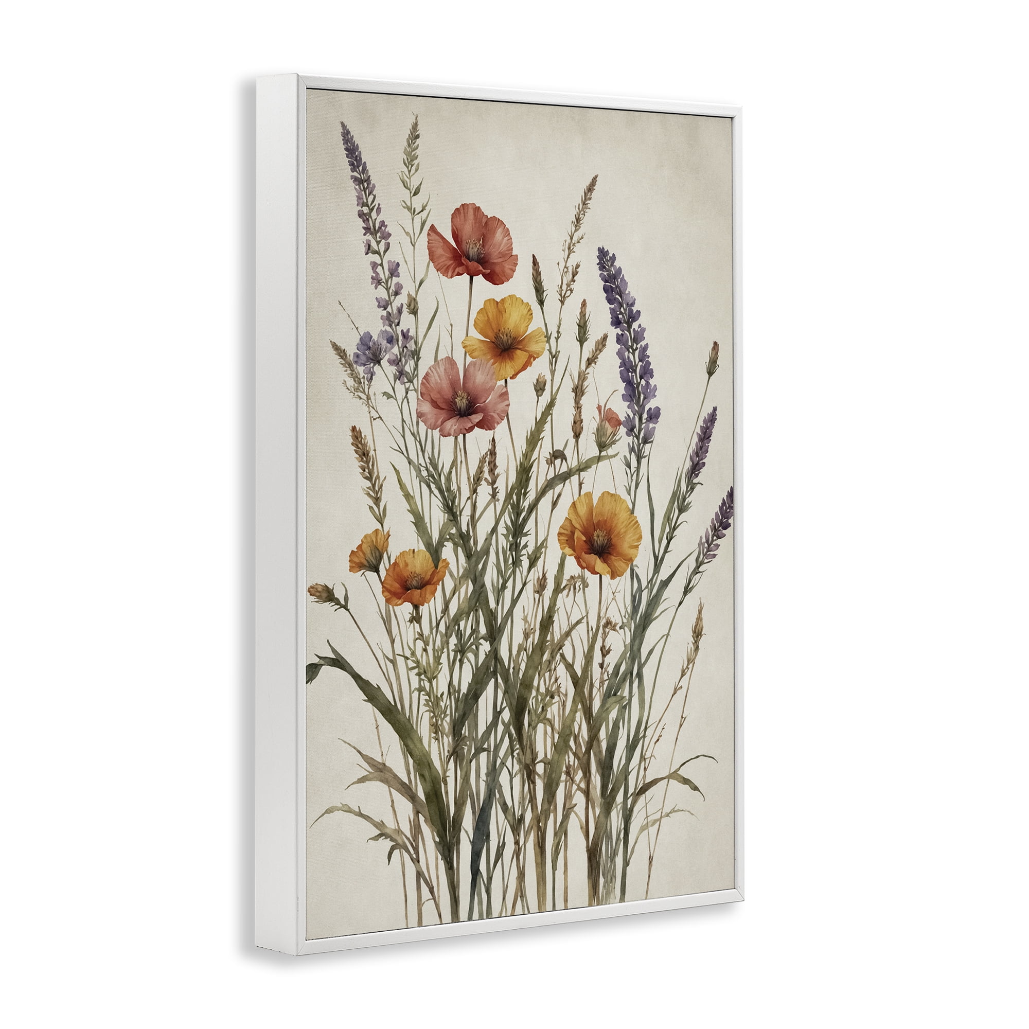 Stupell Industries Vintage Collection of Meadow Botanicals White Framed Giclee Art, design by Nataly White