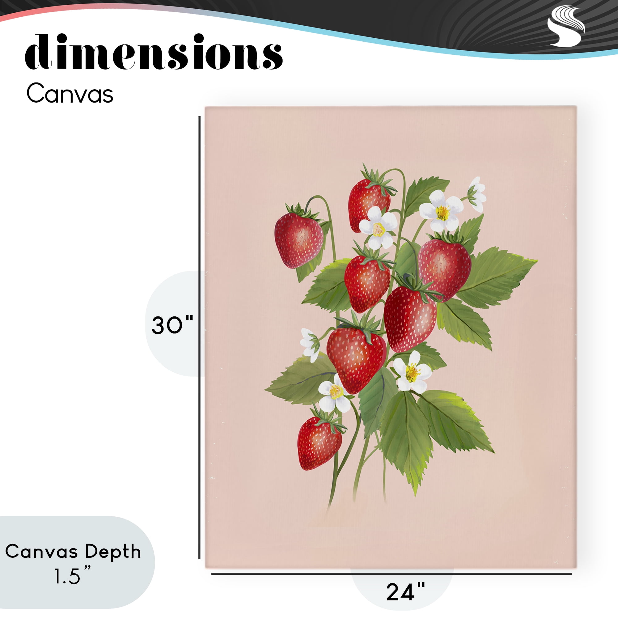 Stupell Industries Cottage Garden Strawberries Canvas Wall Art, design by Diane Neukirch