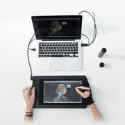 XP Pen Artist 12 قرص رسومات، حساسية للضغط 8192، كابل 5.9 قدم، أسود