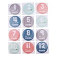 thumbnail image 2 of Funny 1 12 Months Baby Monthly Sticker Baby Shower Photo Props, 2 of 10