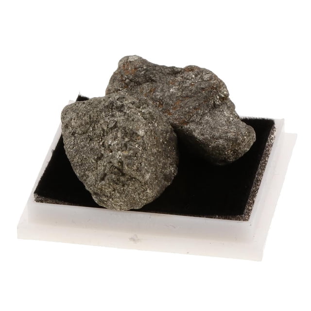 Tachiuwa Rock & Mineral Collection Geology Science Kit Science Toy - Pyrite