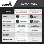 Olympic WaterGuard 5 Gallons Clear Multi-Surface Exterior Waterproofing Sealer