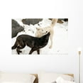 thumbnail image 1 of Timber Wolves Wall Mural by Wallmonkeys Peel and Stick Graphic (36 in W x 23 in H) WM224633, 1 of 4