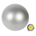 thumbnail image 1 of 29.5-Inch Gray PVC Exercise Ball with Pump – 330lb Capacity, Non-Slip for Fitness & Pregnancy_Perfect Gift, 1 of 5