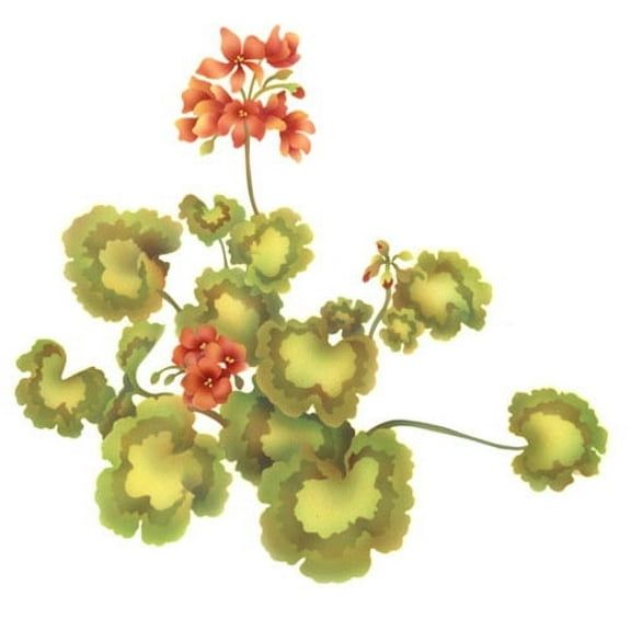 The Mad Stencilist Geraniums Wall Stencil; TMS913
