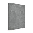 thumbnail image 2 of Trademark Fine Art 'City Map of Boston' Canvas Art by Vision Studio, 2 of 4