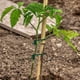 thumbnail image 5 of Correa de árbol de jardín 98 pies para plantas de nylon | Fibra de poliéster tejida de alta resistencia | Soporte flexible de estaca para plantas para árboles grandes y jóvenes, ramas, arbustos |, 5 of 7