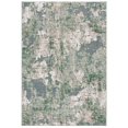 thumbnail image 4 of SAFAVIEH Cabana Selma Distressed Indoor/Outdoor Area Rug, 4 of 9