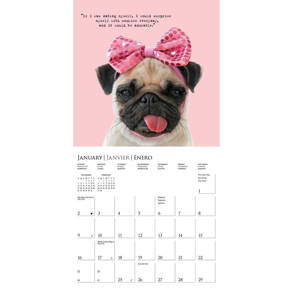 pawparazzi 2022 mini wall calendar walmart com
