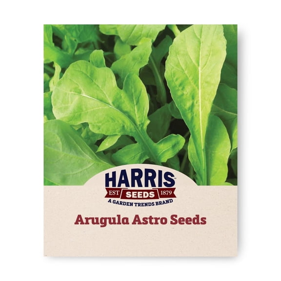 Harris Seeds Arugula Astro, Treated, Nutty Flavor Leaf Variety, 1 oz