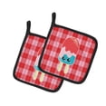 thumbnail image 1 of Carolines Treasures BB7067PTHD Porte-Pot à Vichy Ice Popsicle Face, 1 of 1