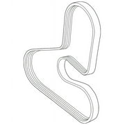 Genuine OE Volvo Serpentine Belt - 30731809 Fits select: 2004 VOLVO C70 HPT, 2000 VOLVO S70 BASE/SE