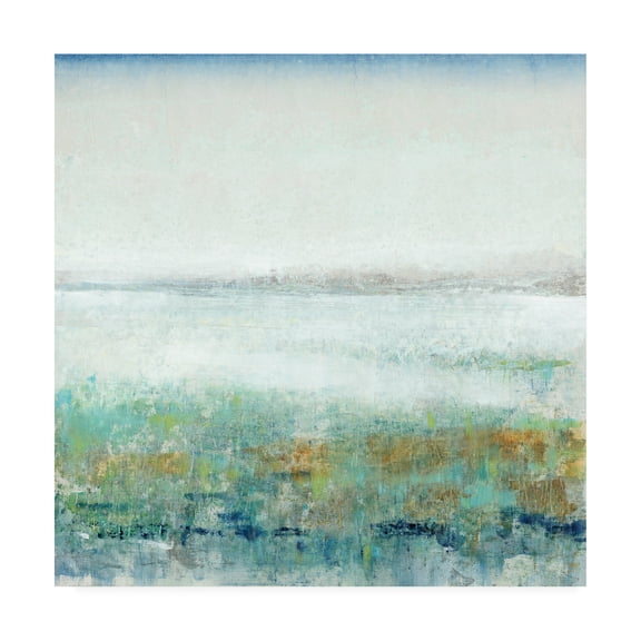 Trademark Fine Art 'Turquoise Mist II' Canvas Art by Tim OToole
