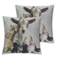 thumbnail image 2 of COMIO Animal Throw Pillow Cover Farm Animals Cute Goat and Chickens Decorative Pillowcase for Sofa and Bed Couch,2 pcs White, 2 of 6