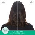 thumbnail image 3 of Set de cuidado capilar HASK Tea Tree Revitalizing Dry Shampoo x2, 3 of 9